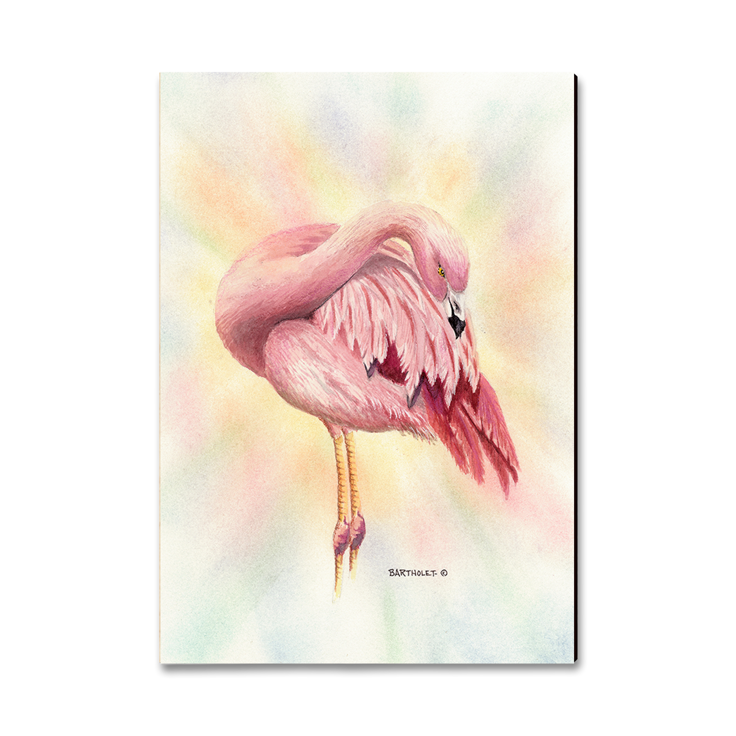 Postcard: Classic Edge - Bartholet's Pink Flamingo
