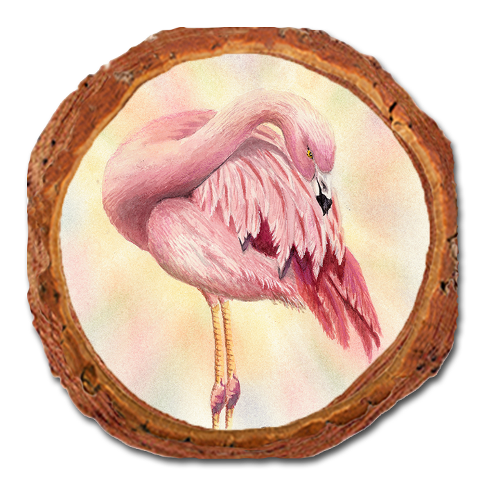 Coaster: Live Edge - Bartholet's Pink Flamingo