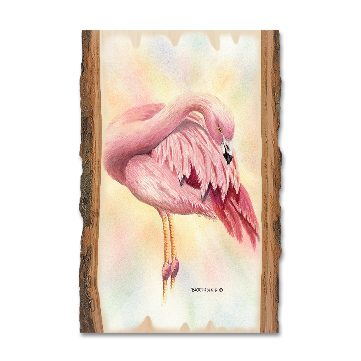 Greeting Card: Live Edge - Bartholet's Pink Flamingo