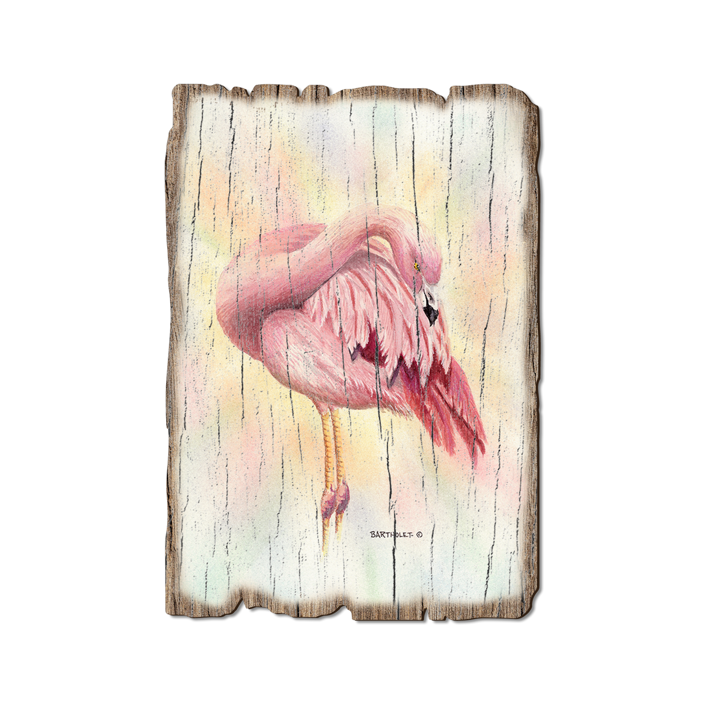 Greeting Card: Weathered Edge - Bartholet's Pink Flamingo