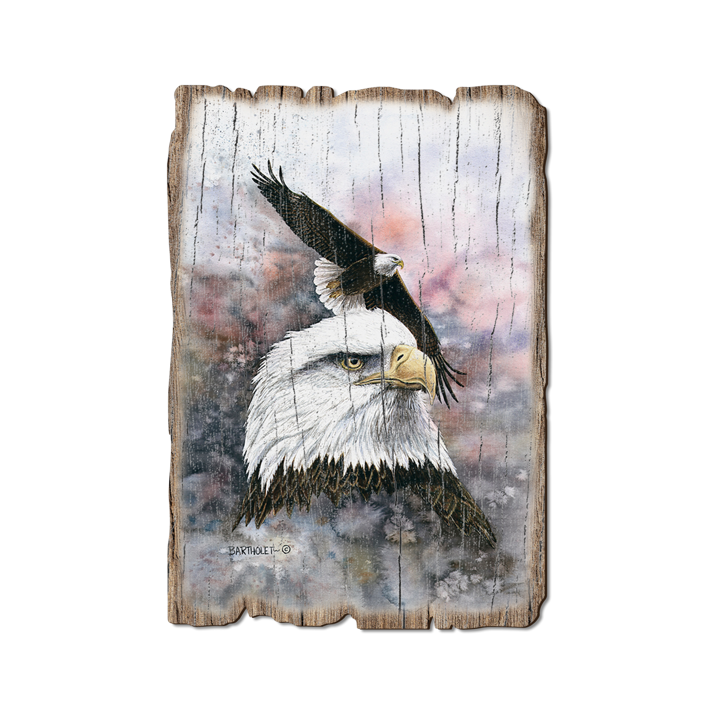 Greeting Card: Weathered Edge - Bartholet's Power & Grace (Pack of 5)