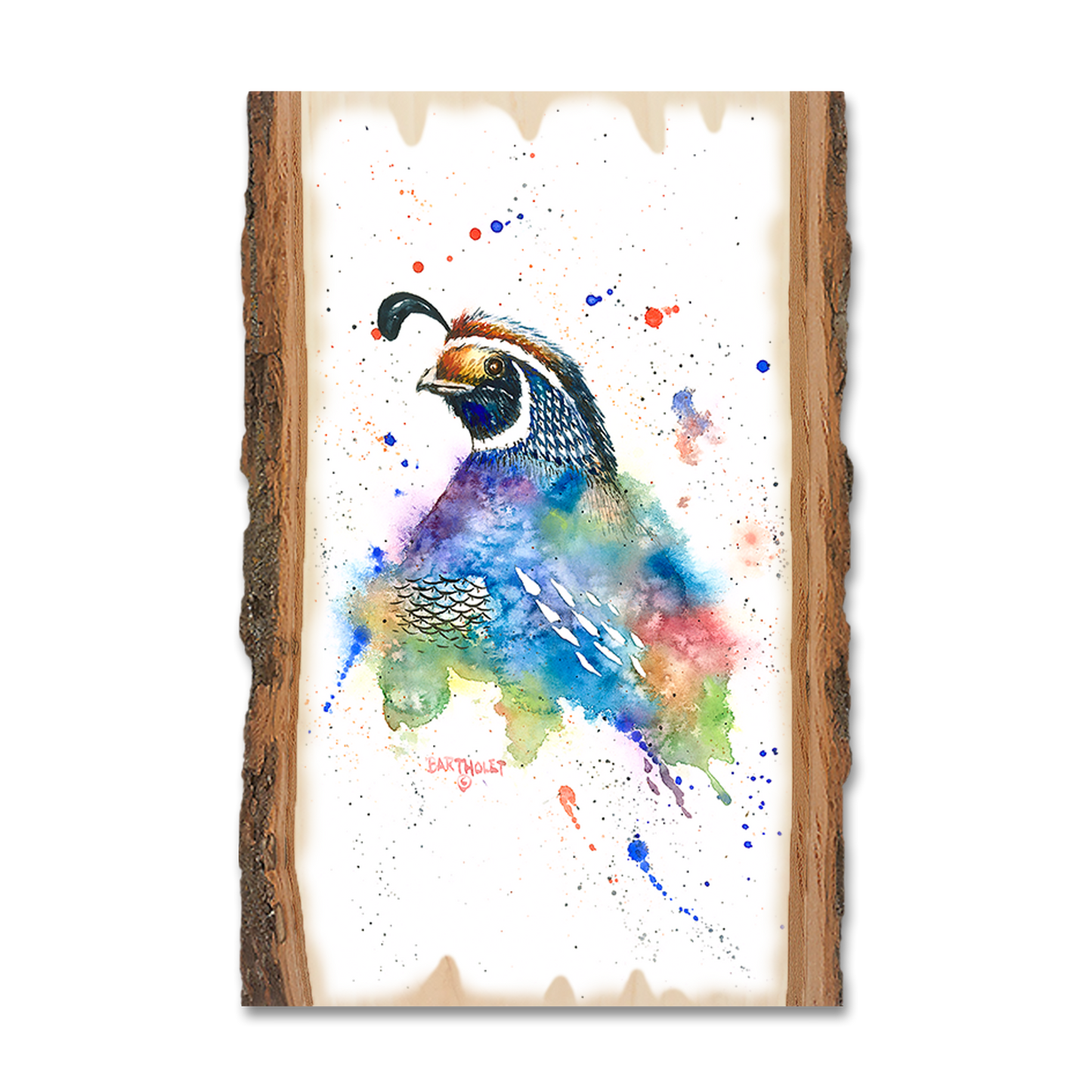 Ornament: Live Edge - Bartholet's Quail Fantasy