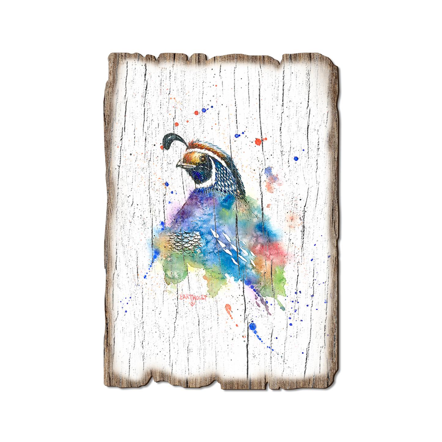 Postcard: Weathered Edge - Bartholet's Quail Fantasy (Pack of 5)