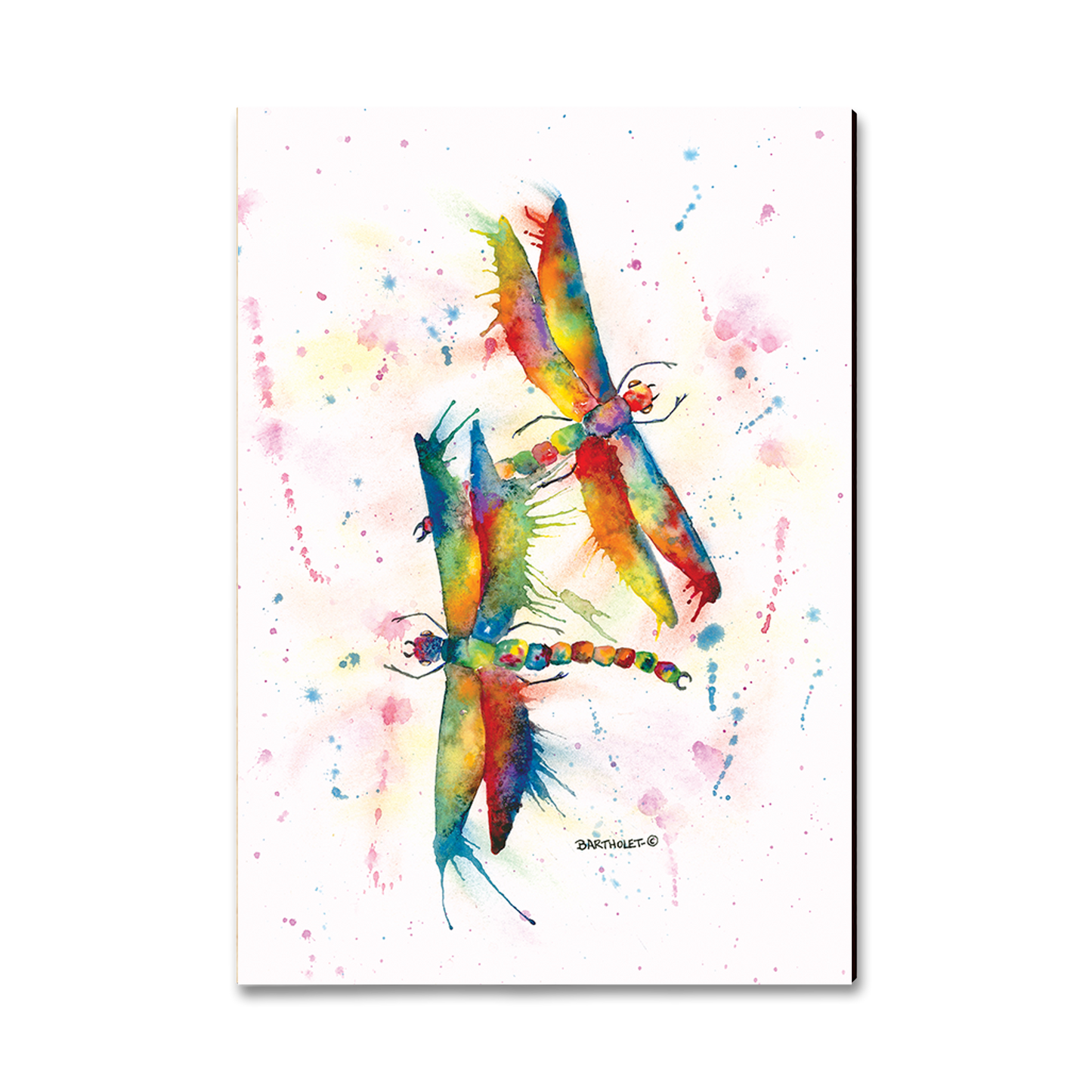 Postcard: Classic Edge - Bartholet's Rainbow Dragonflies Courtship
