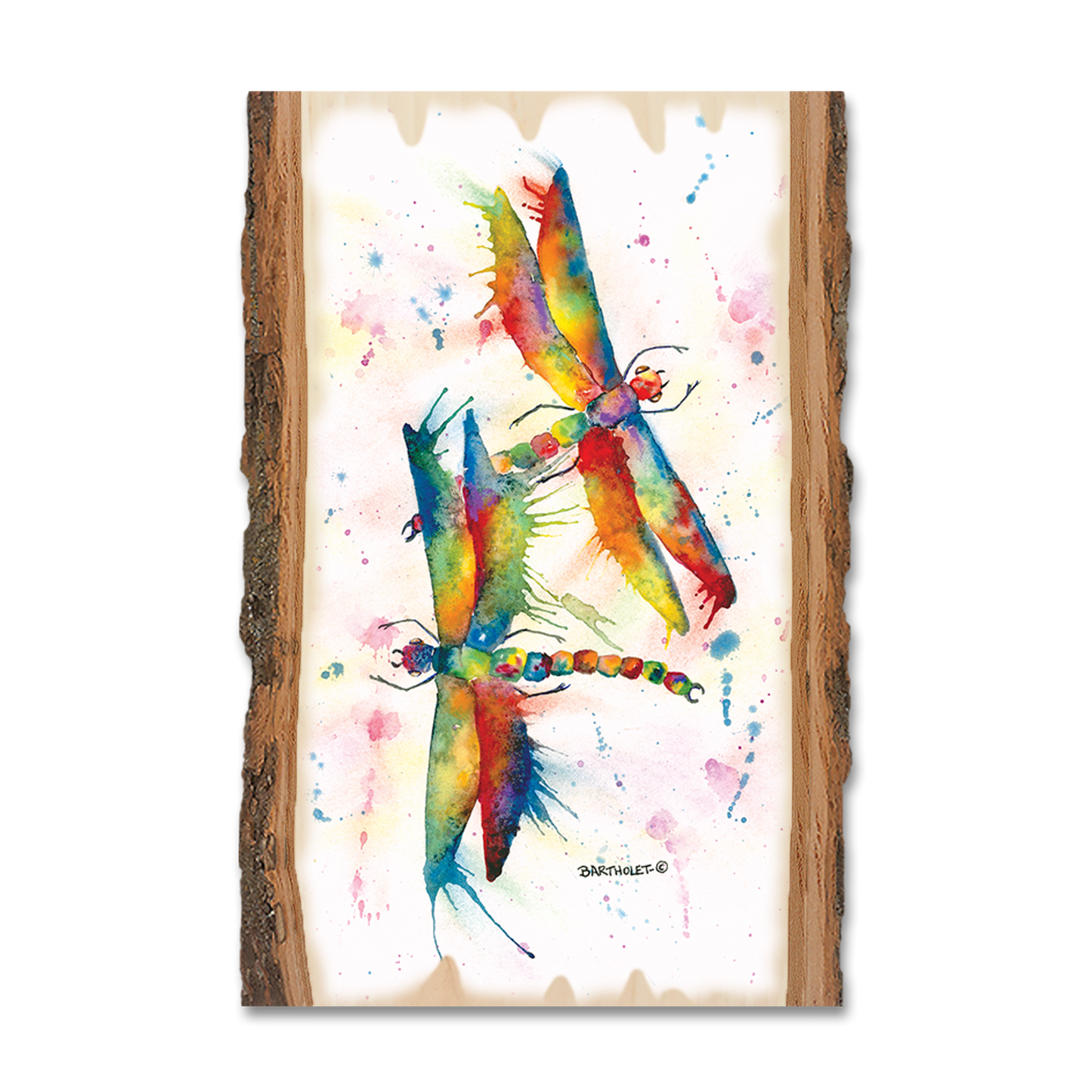 Ornament: Live Edge - Bartholet's Rainbow Dragonflies Courtship