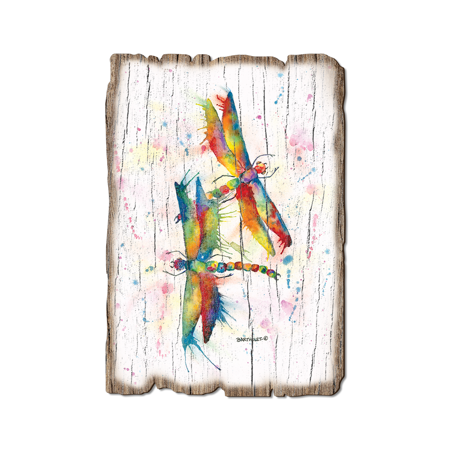 Postcard: Weathered Edge - Bartholet's Rainbow Dragonflies Courtship (Pack of 5)