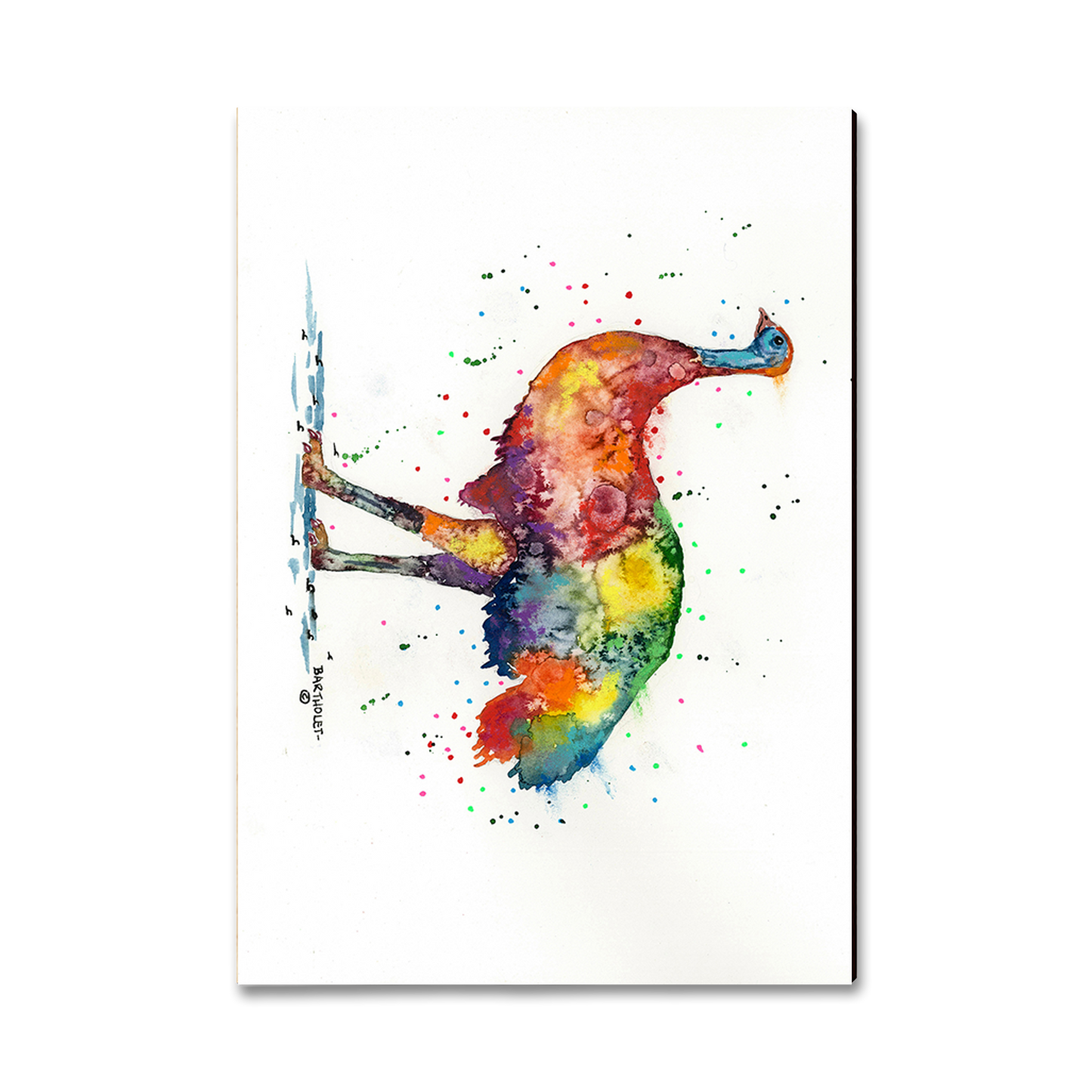 Ornament: Classic Edge - Bartholet's Rainbow Emu