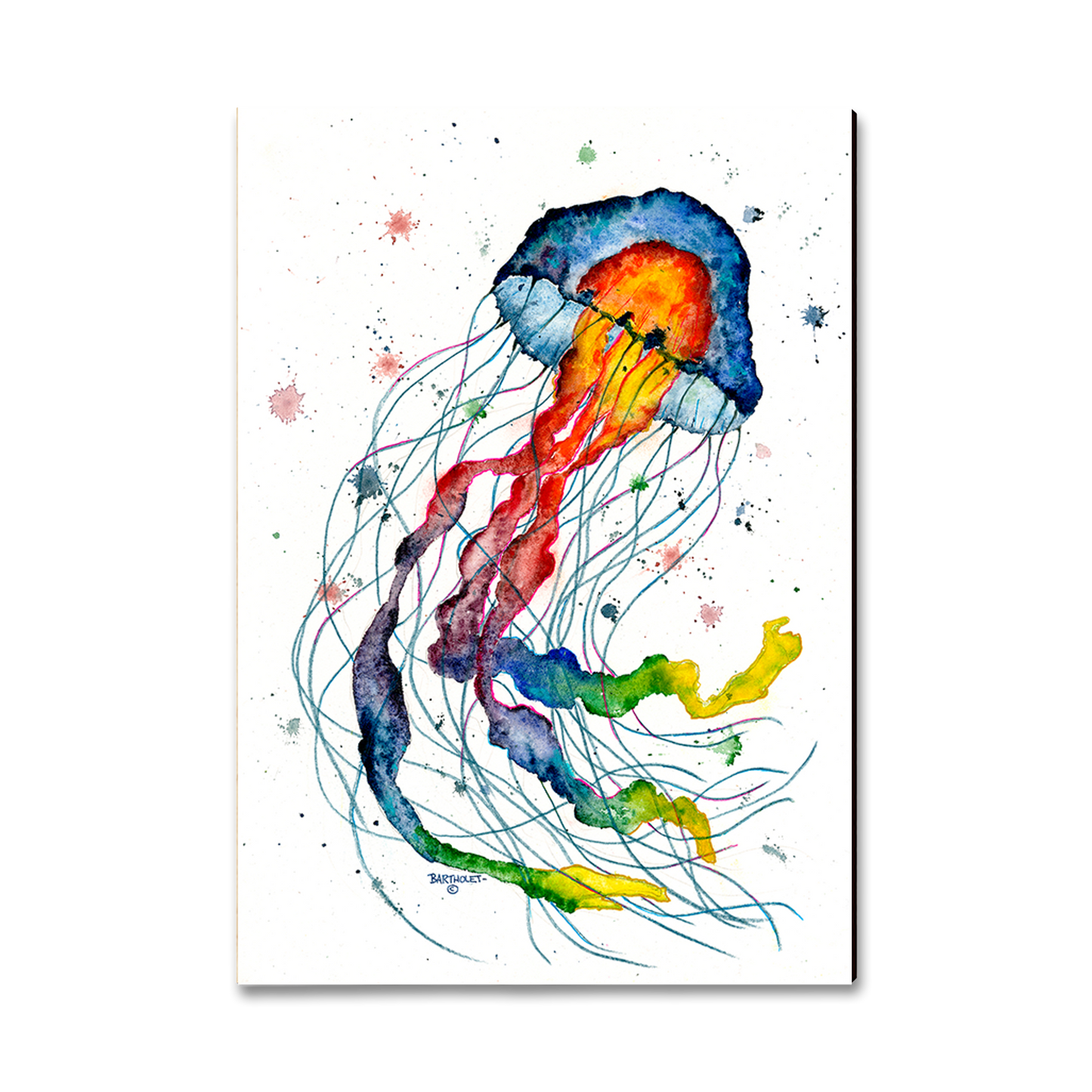 Ornament: Classic Edge - Bartholet's Rainbow Jellyfish