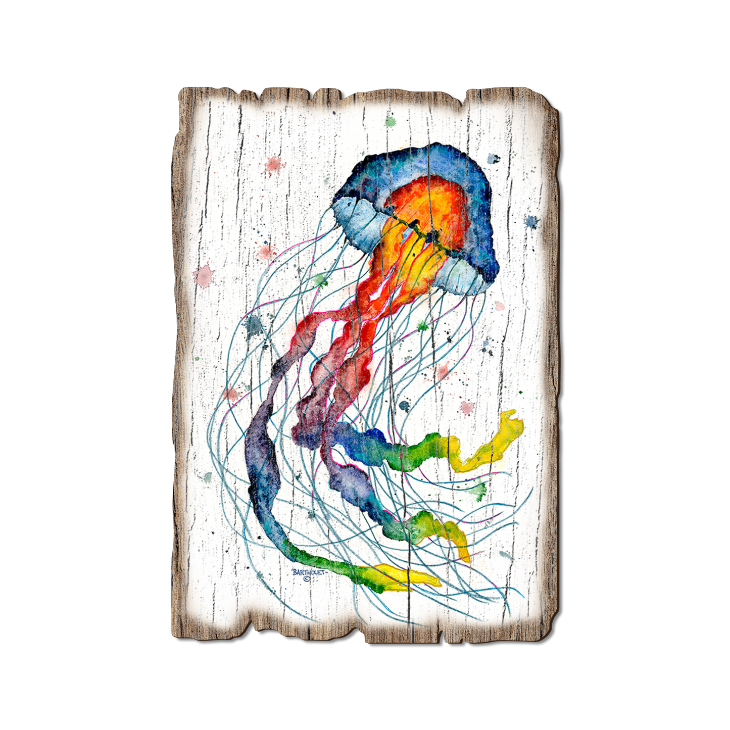 Postcard: Weathered Edge - Bartholet's Rainbow Jellyfish (Pack of 5)