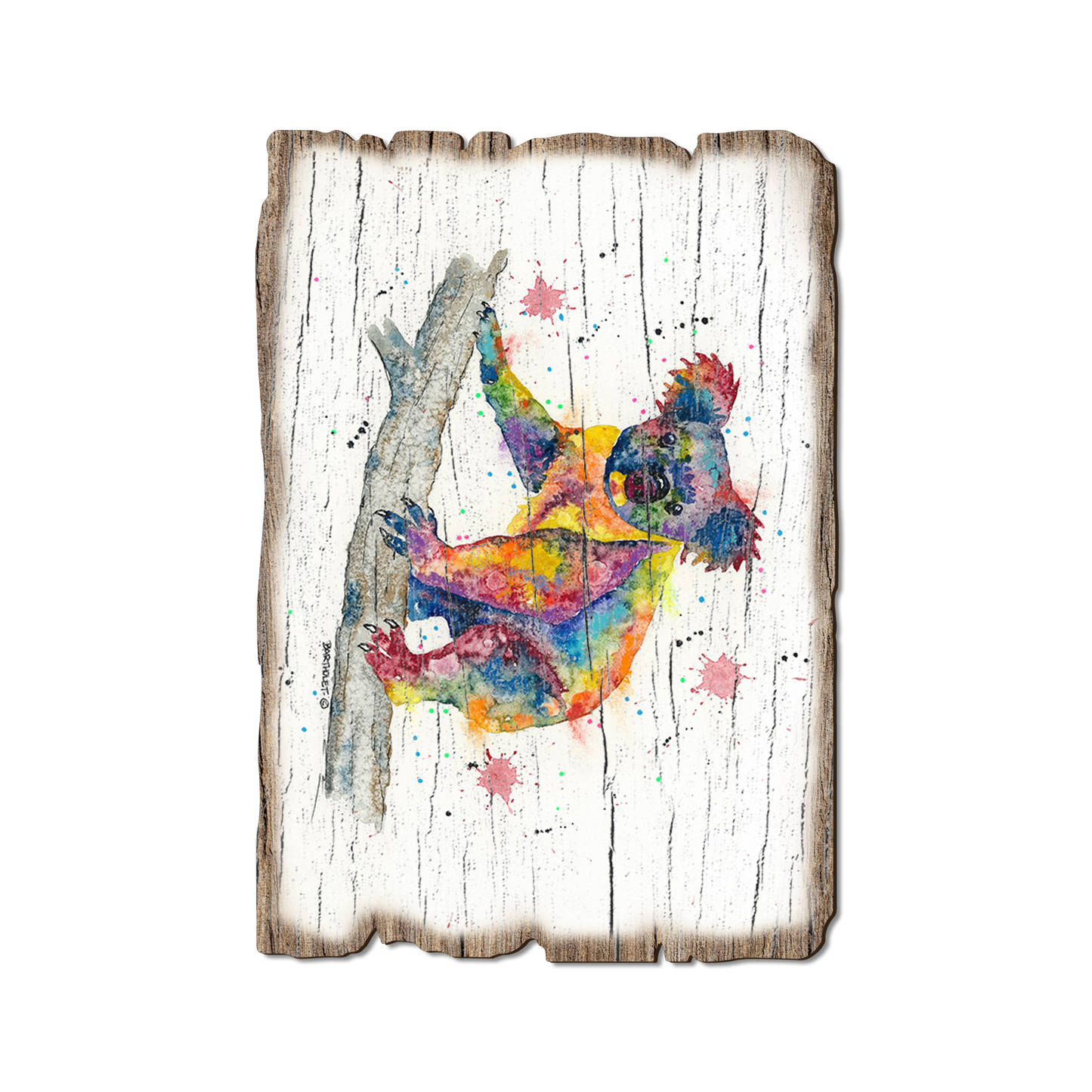 Ornament: Weathered Edge - Bartholet's Rainbow Koala (Pack of 5)