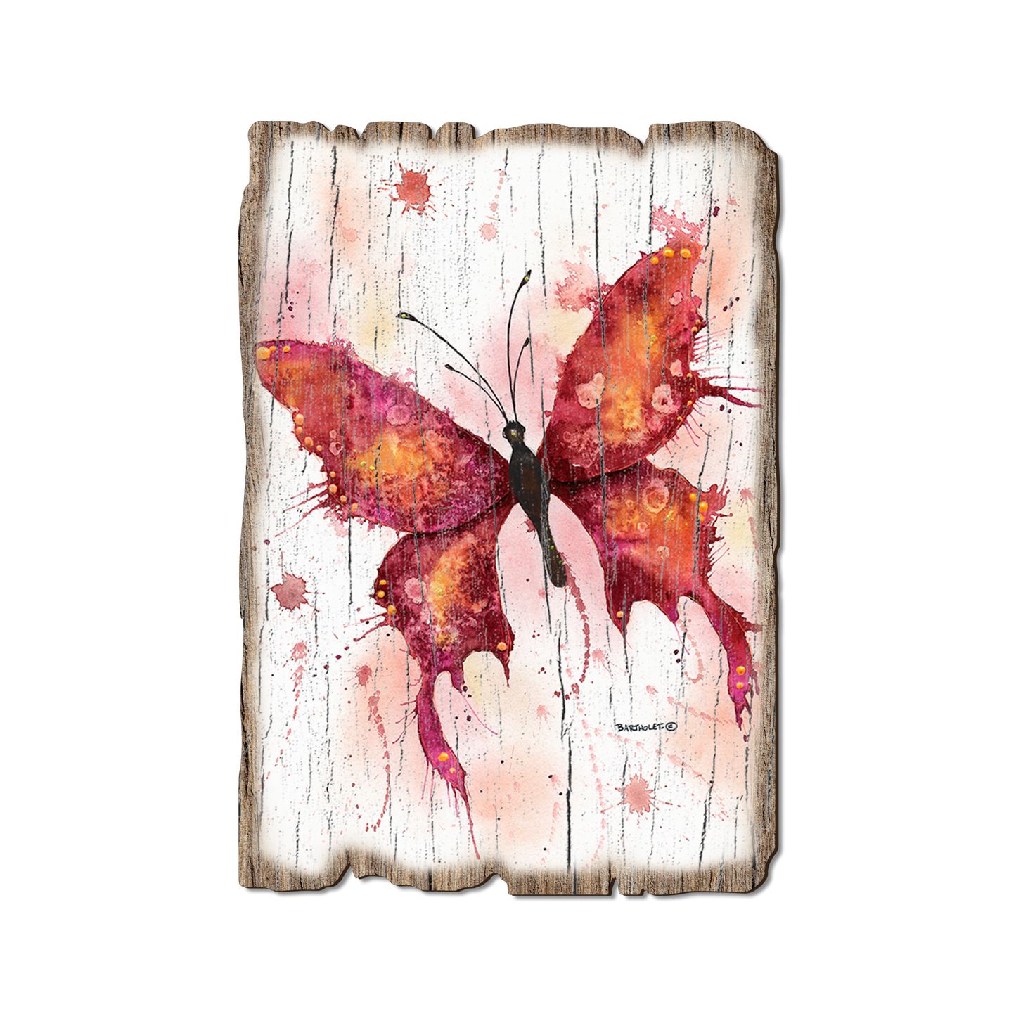 Postcard: Weathered Edge - Bartholet's Rainbow Lady in Red (Pack of 5)