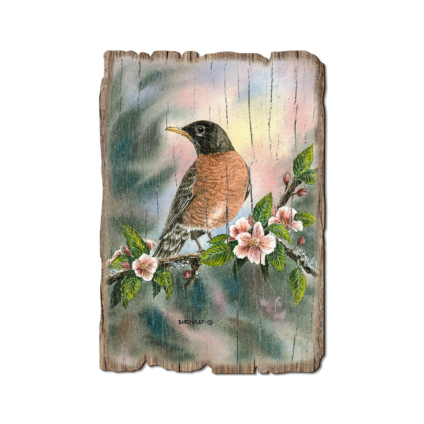 Greeting Card: Weathered Edge - Bartholet's Robin