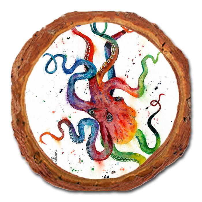 Coaster: Live Edge - Bartholet's Rainbow Octopus (Pack of 5)