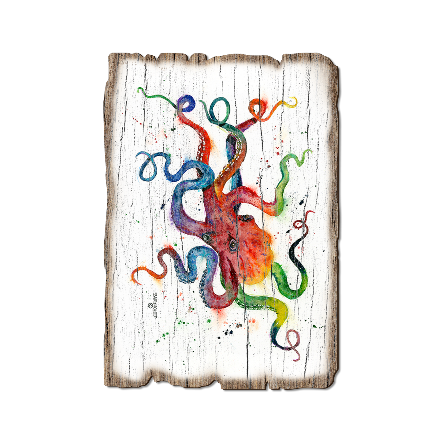 Ornament: Weathered Edge - Bartholet's Rainbow Octopus (Pack of 5)