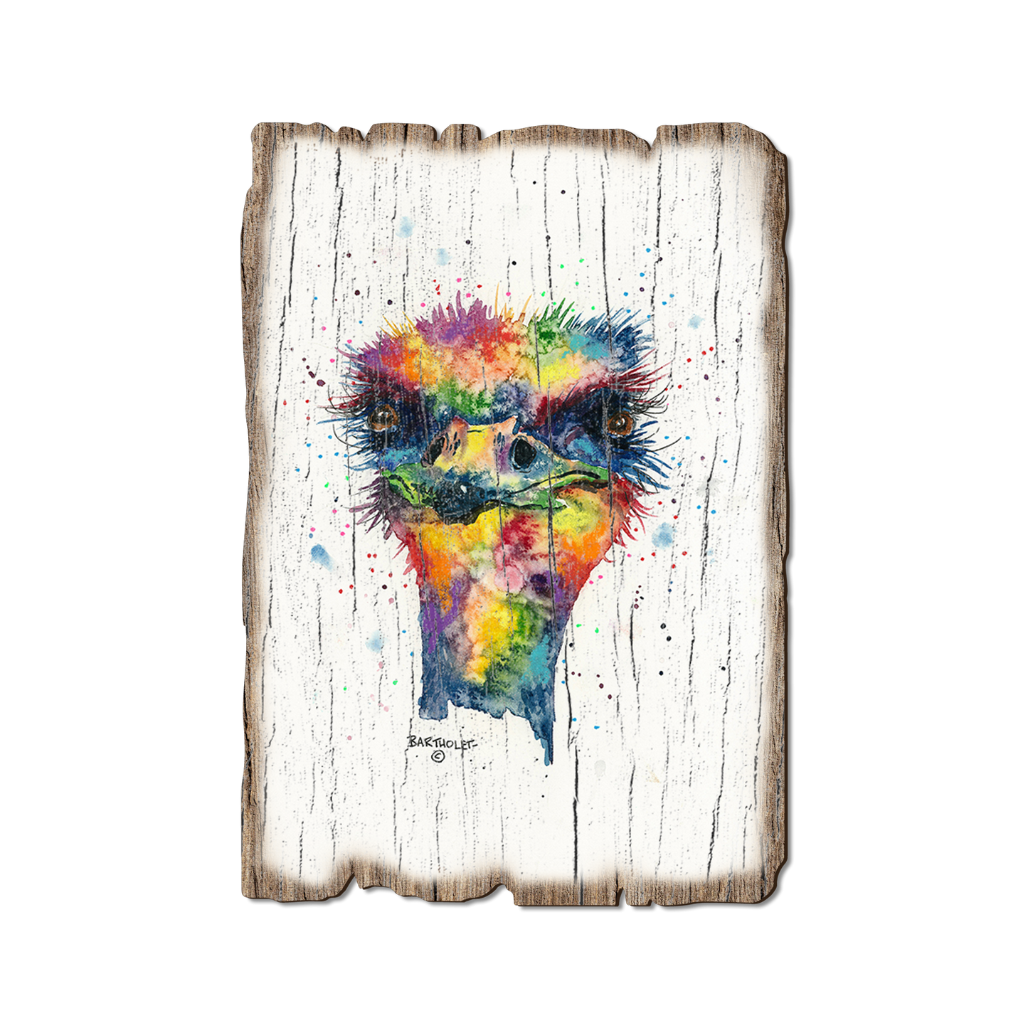 Ornament: Weathered Edge - Bartholet's Rainbow Ostrich (Pack of 5)