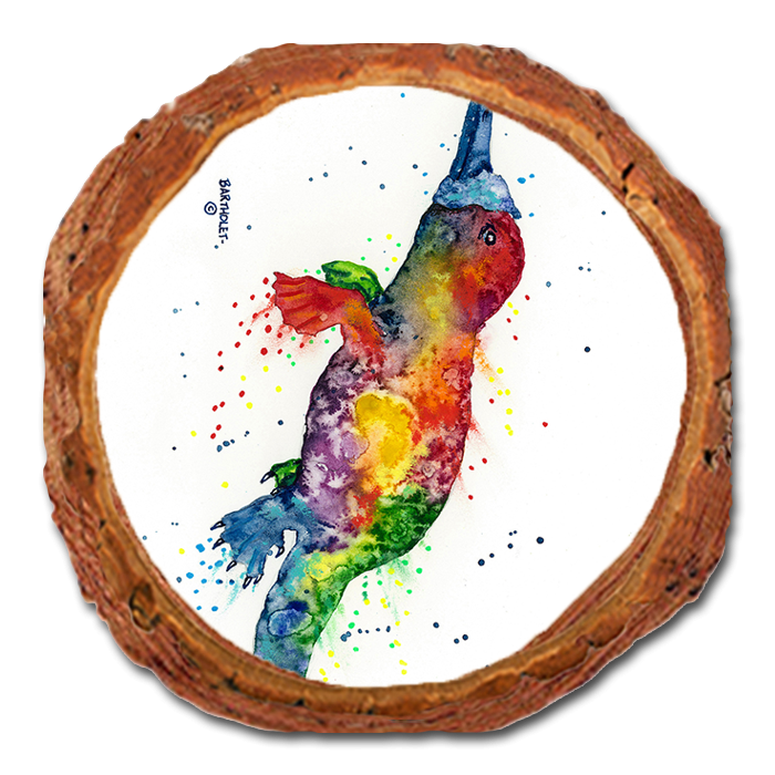 Coaster: Live Edge - Bartholet's Rainbow Platypus (Pack of 5)