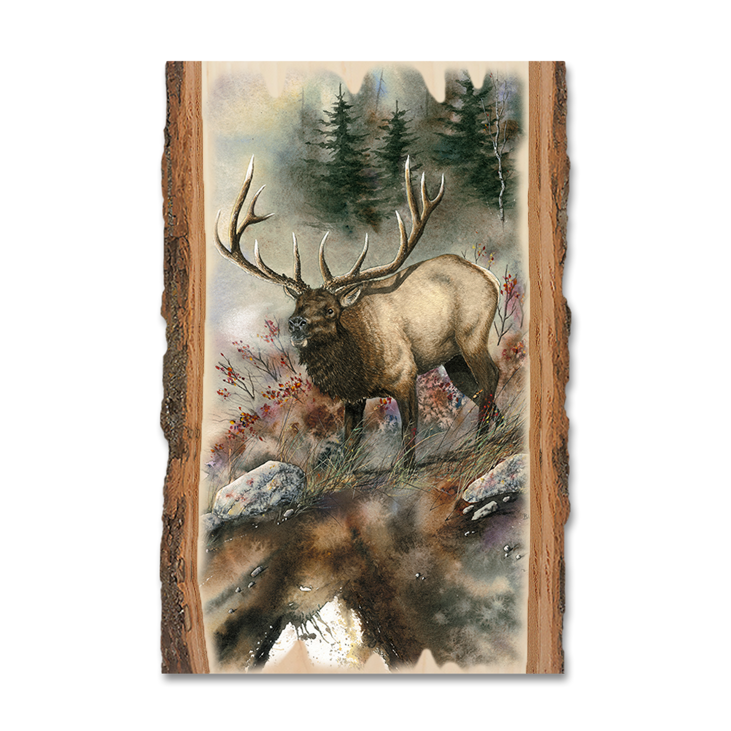 Greeting Card: Live Edge - Bartholet's Ridge Runner