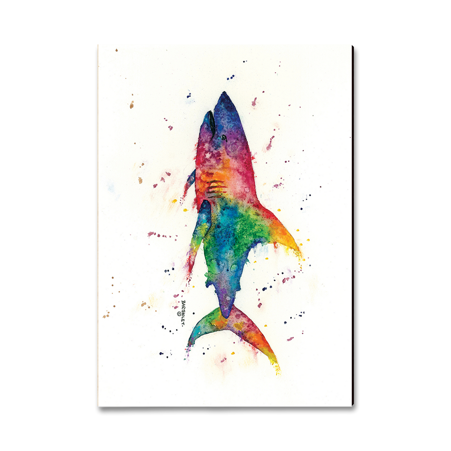 Ornament: Classic Edge - Bartholet's Rainbow Shark