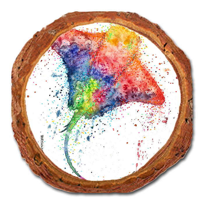 Coaster: Live Edge - Bartholet's Rainbow Stingray (Pack of 5)