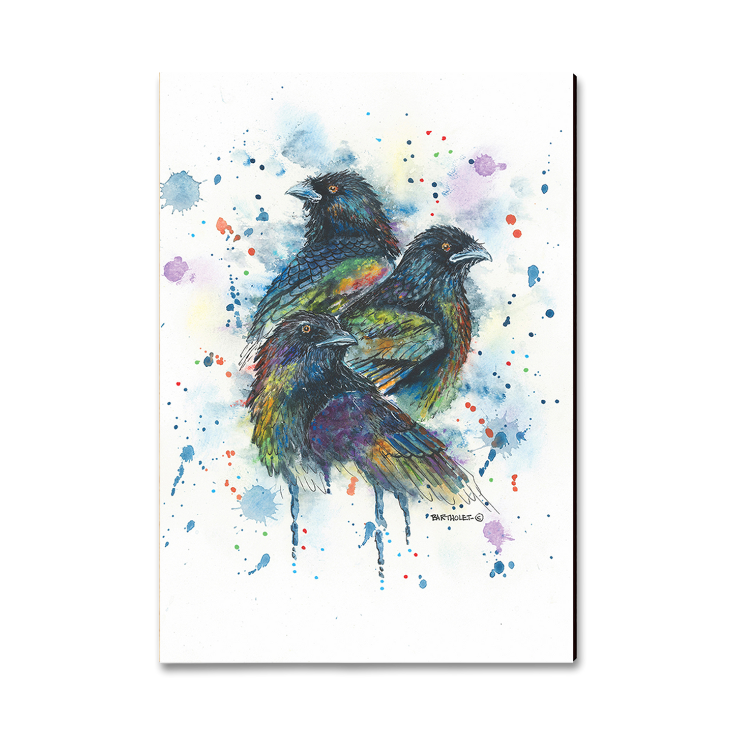 Magnet: Classic Edge - Bartholet's Raven Trio