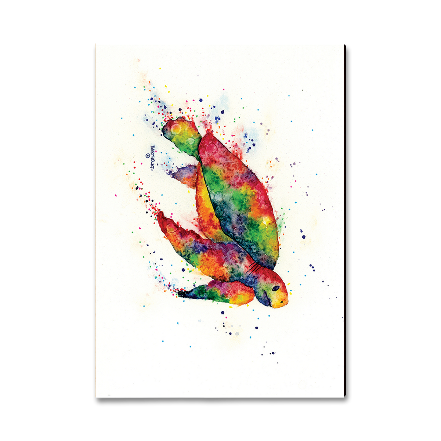 Postcard: Classic Edge - Bartholet's Rainbow Turtle