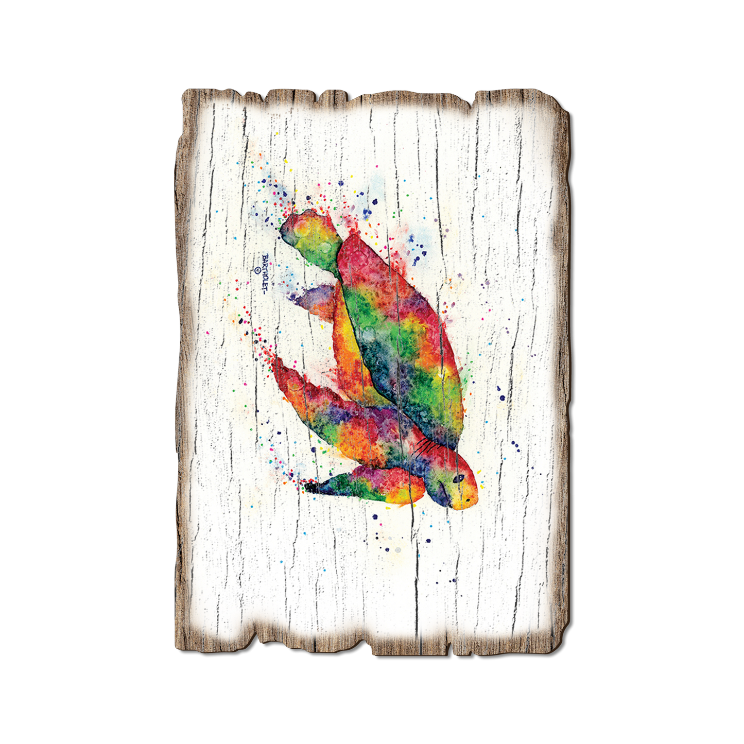 Greeting Card: Weathered Edge - Bartholet's Rainbow Turtle (Pack of 5)