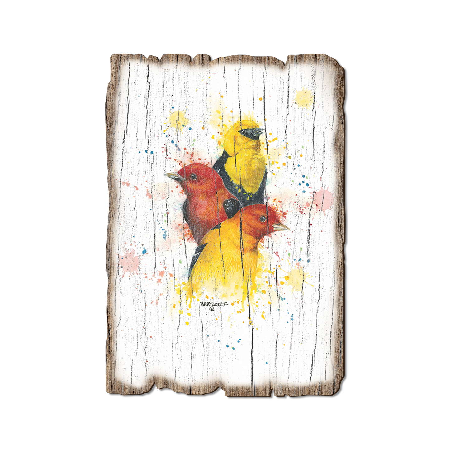Greeting Card: Weathered Edge - Bartholet's Songbird Trio II (Pack of 5)
