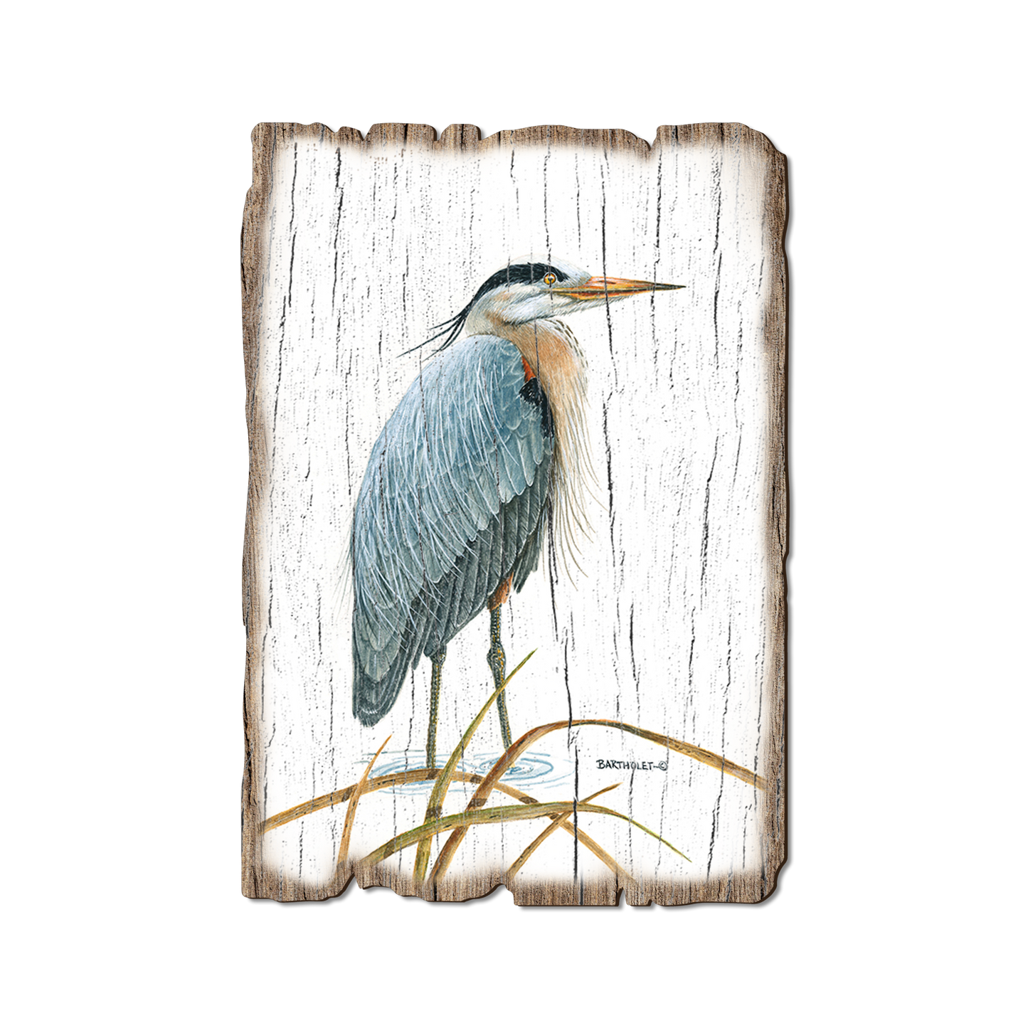 Postcard: Weathered Edge - Bartholet's Sentinel Heron