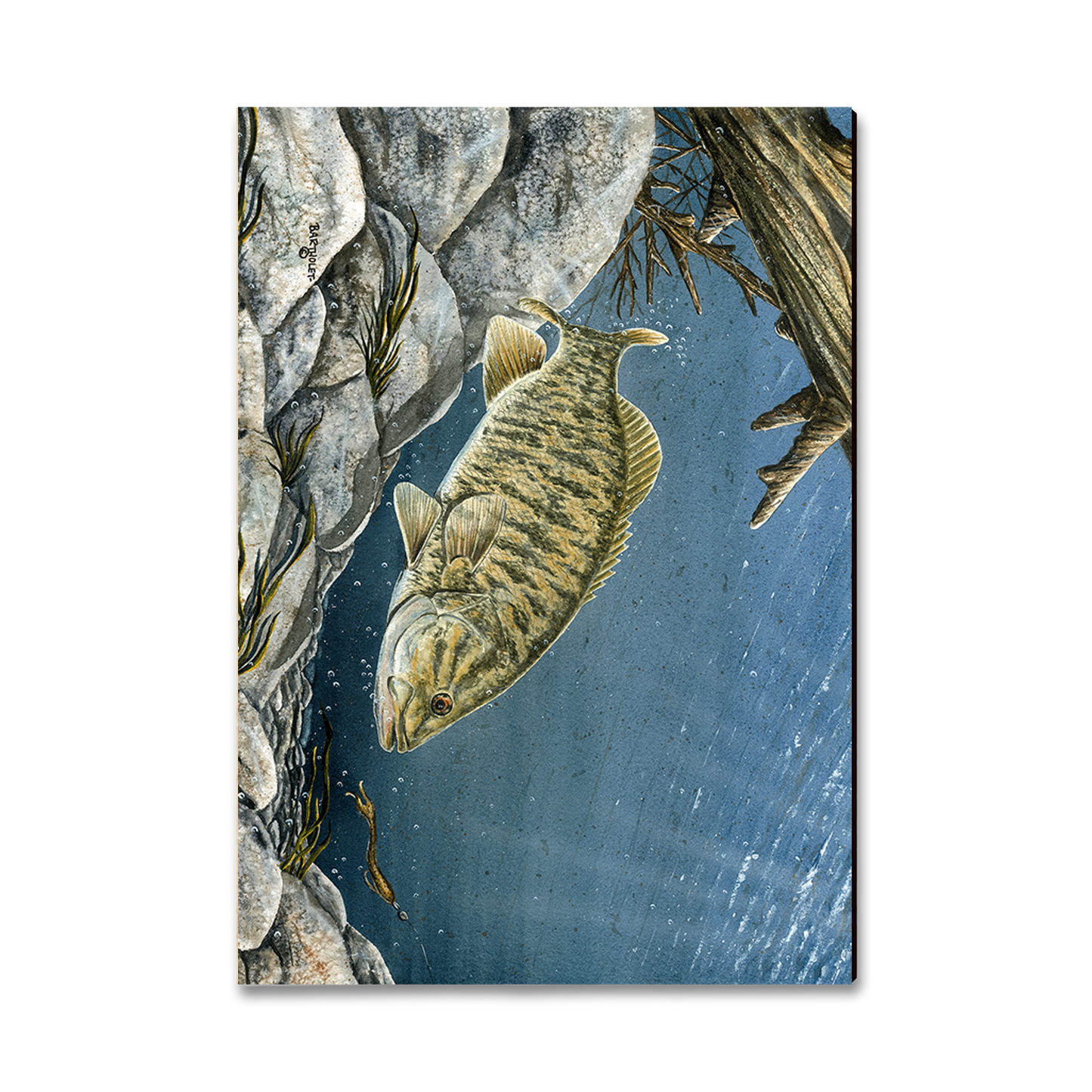 Magnet: Classic Edge - Bartholet's Smallie