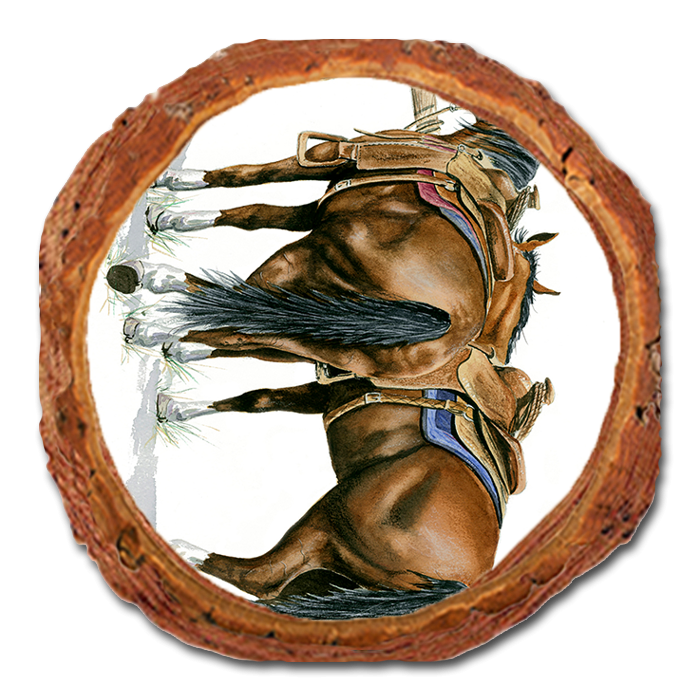 Coaster: Live Edge - Bartholet's Saddle Up (Pack of 5)