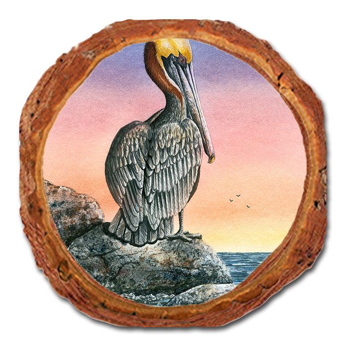 Coaster: Live Edge - Bartholet's The Cove (Pack of 5)