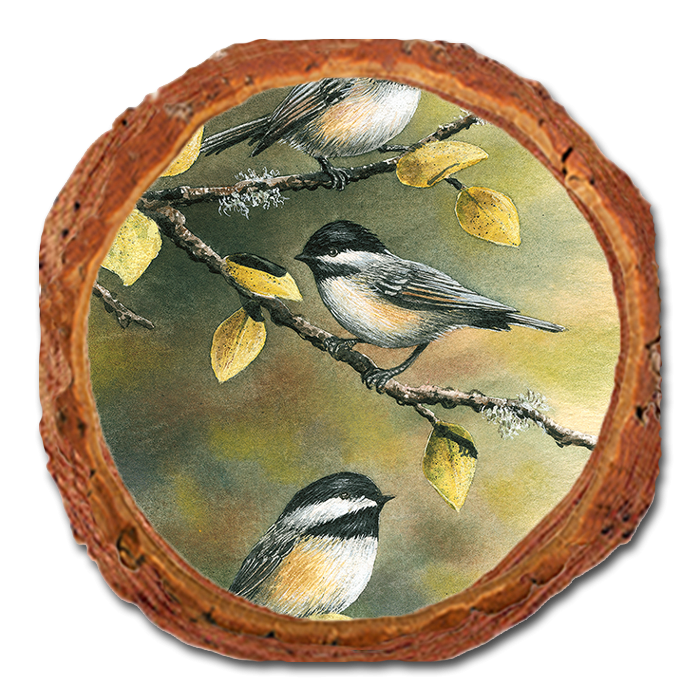 Coaster: Live Edge - Bartholet's Three Chickadees (Pack of 5)