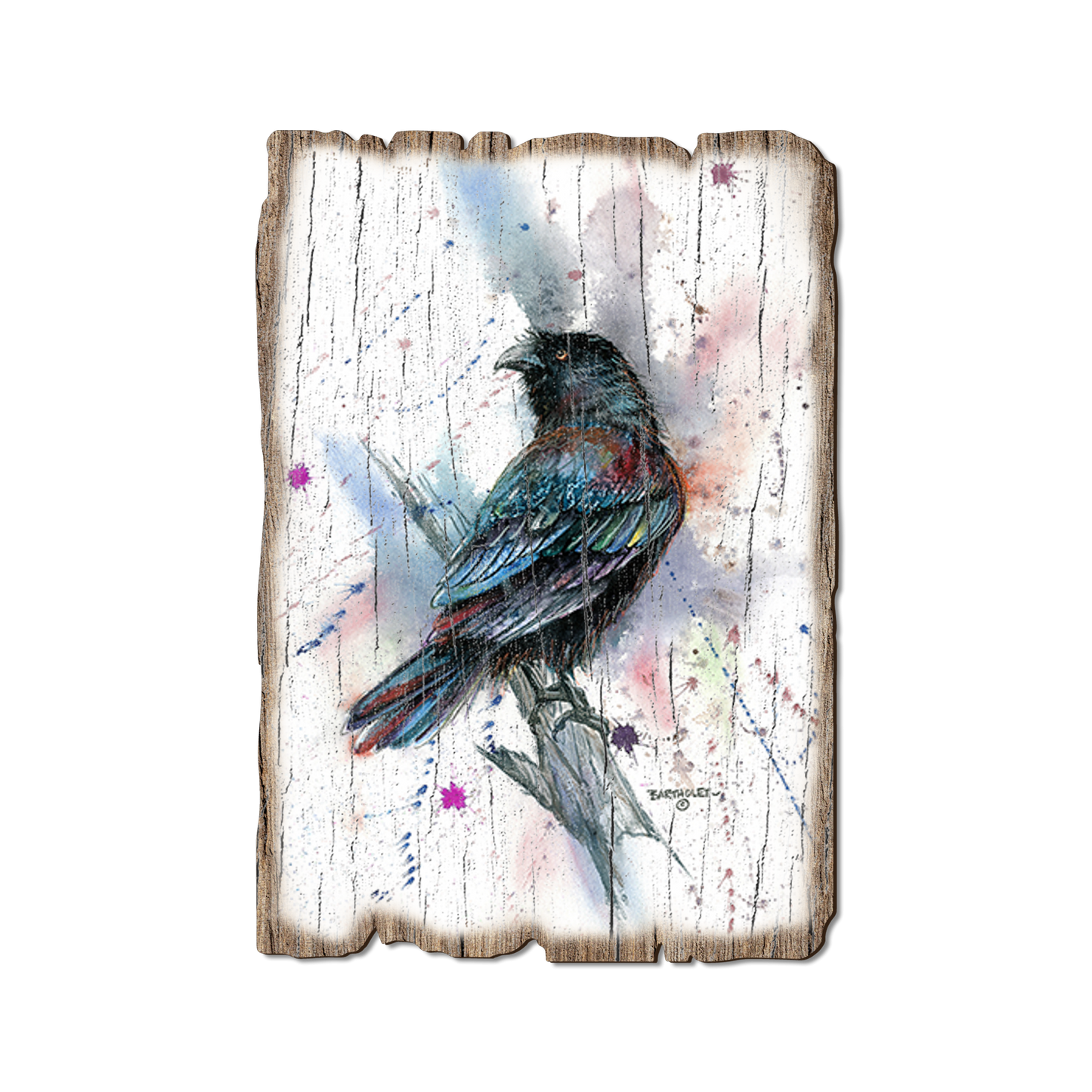 Ornament: Weathered Edge - Bartholet's The Raven (Pack of 5)