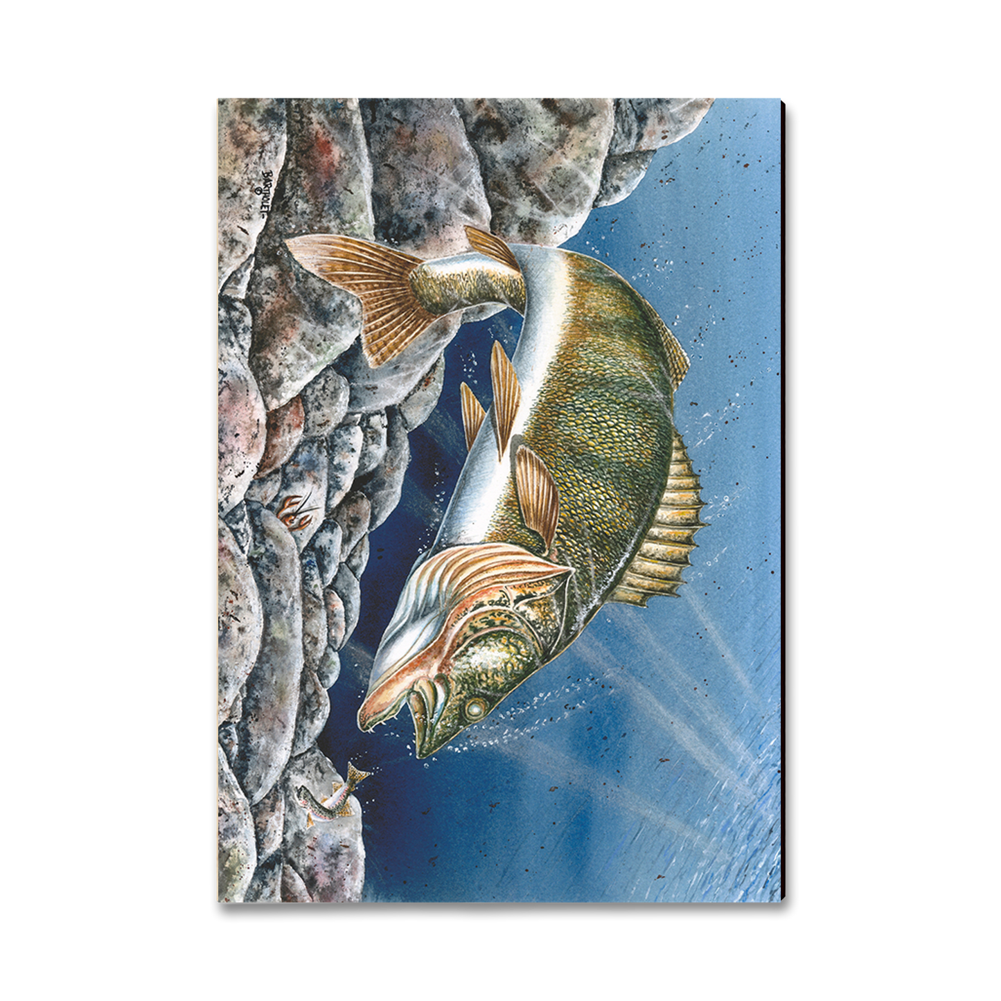 Postcard: Classic Edge - Bartholet's Walleye