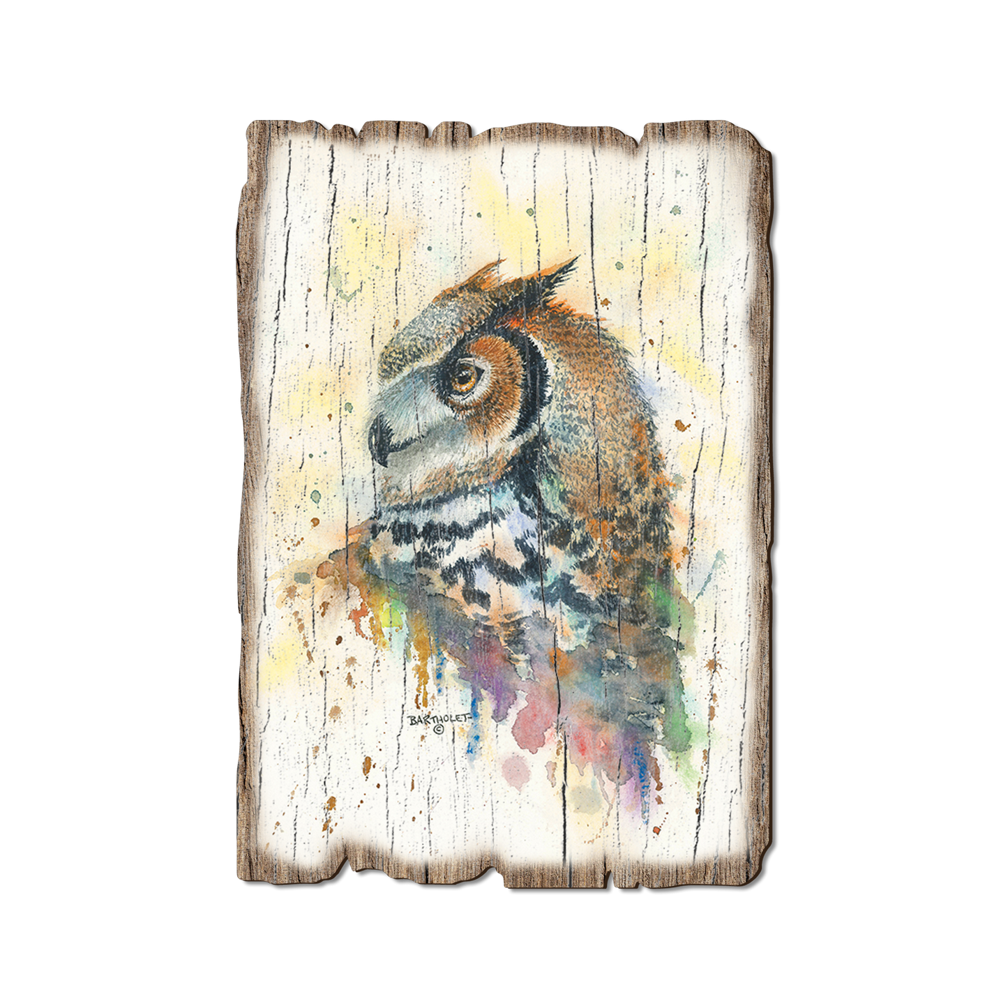 Postcard: Weathered Edge - Bartholet's Watchful Eye (Pack of 5)