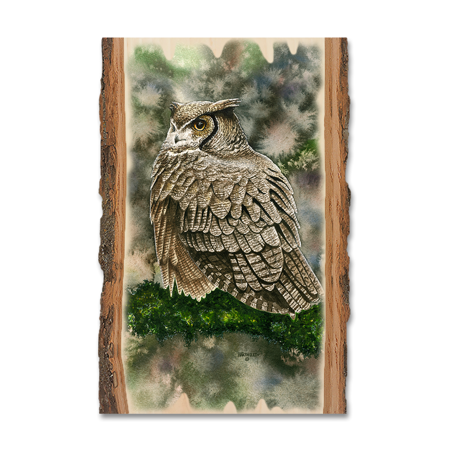 Greeting Card: Live Edge - Bartholet's Woodland Ghost