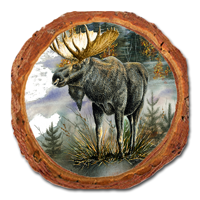 Coaster: Live Edge - Bartholet's Woodland Majesty (Pack of 5)
