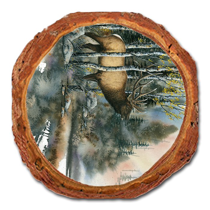 Coaster: Live Edge - Bartholet's You Talkin' To Me (Pack of 5)