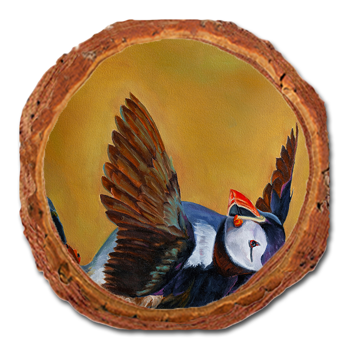 Coaster: Live Edge - Twitchell's Afternoon Puffin