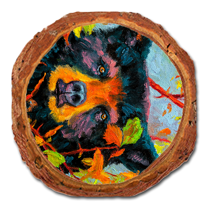 Coaster: Live Edge - Twitchell's Color Bear (Pack of 5)
