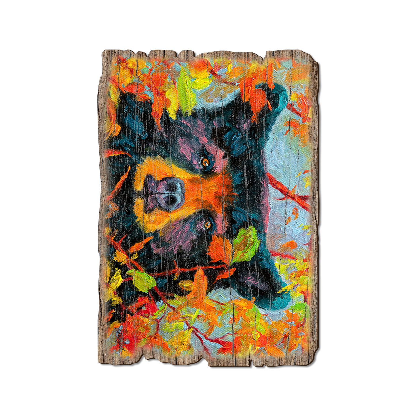 Greeting Card: Weathered Edge - Twitchell's Color Bear
