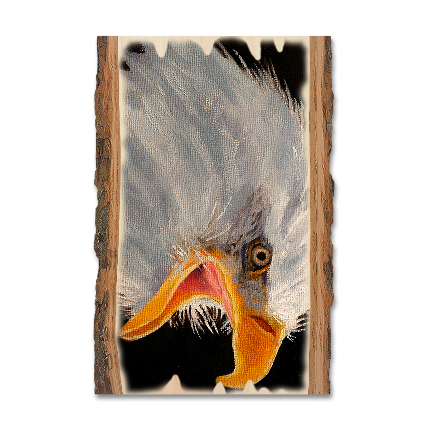 Greeting Card: Live Edge - Twitchell's Eagle in Light