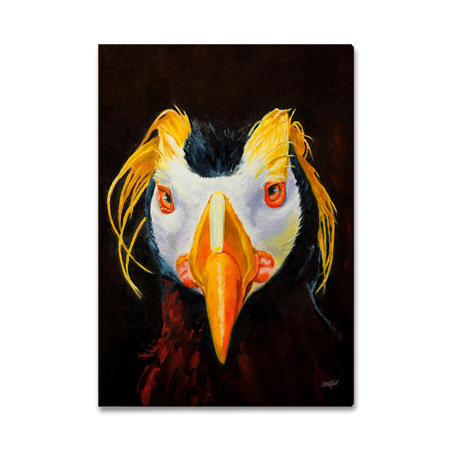 Magnet: Classic Edge - Twitchell's Tufted Puffin