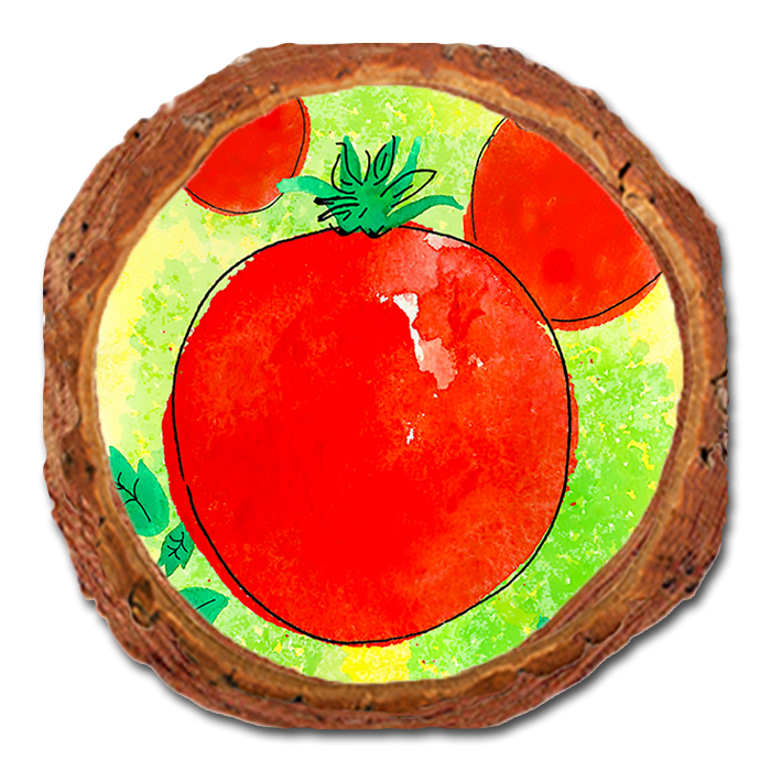 Coaster: Live Edge - Le Tomato (Pack of 5)