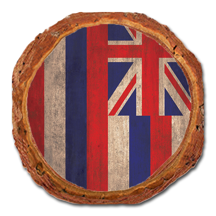Coaster: Live Edge - Hawaii State Flag