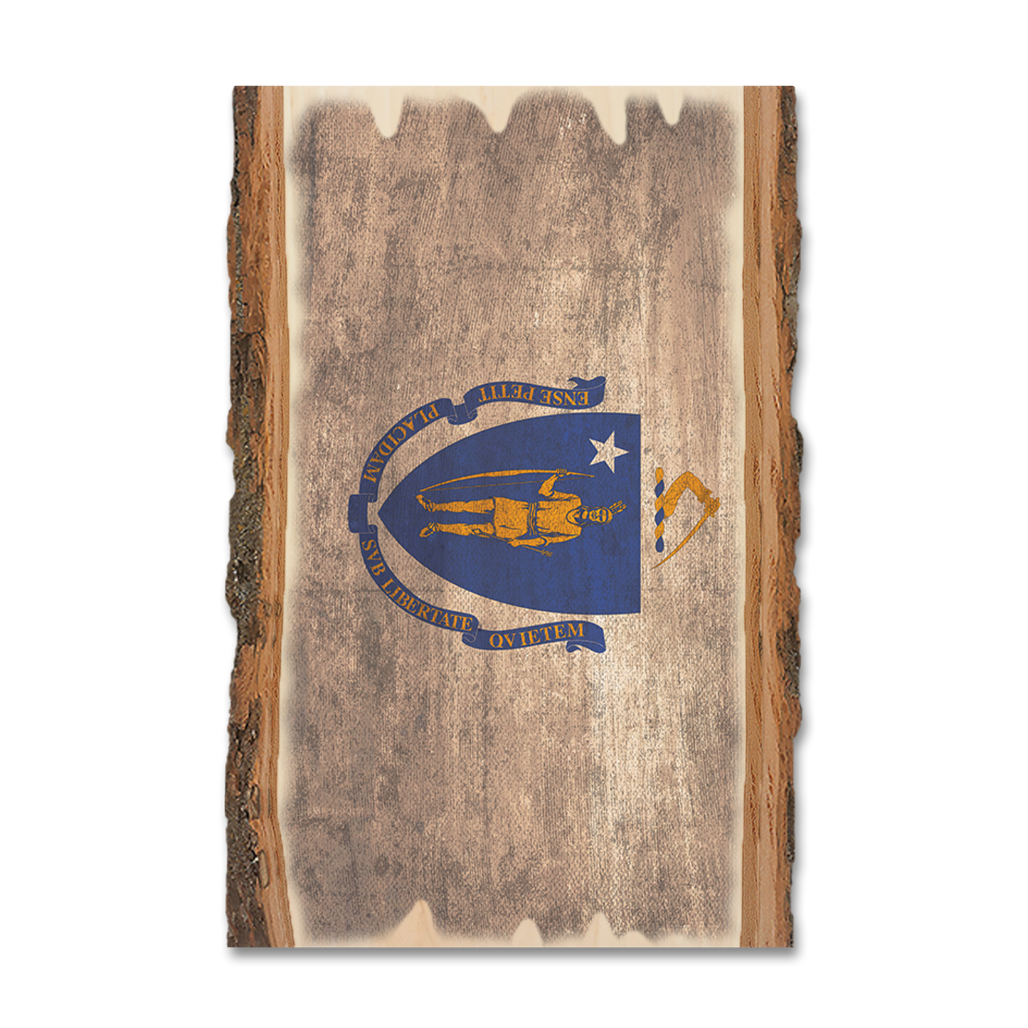 Postcard: Live Edge - Massachusetts State Flag