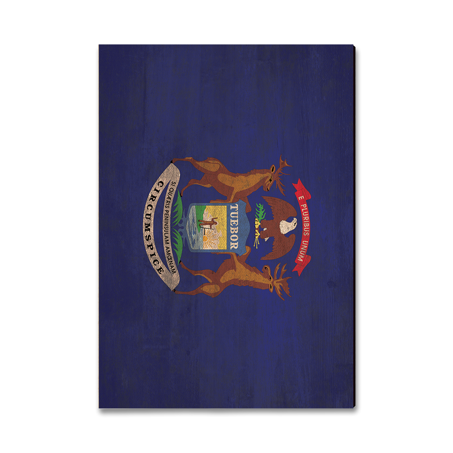 Postcard: Classic Edge - Michigan State Flag