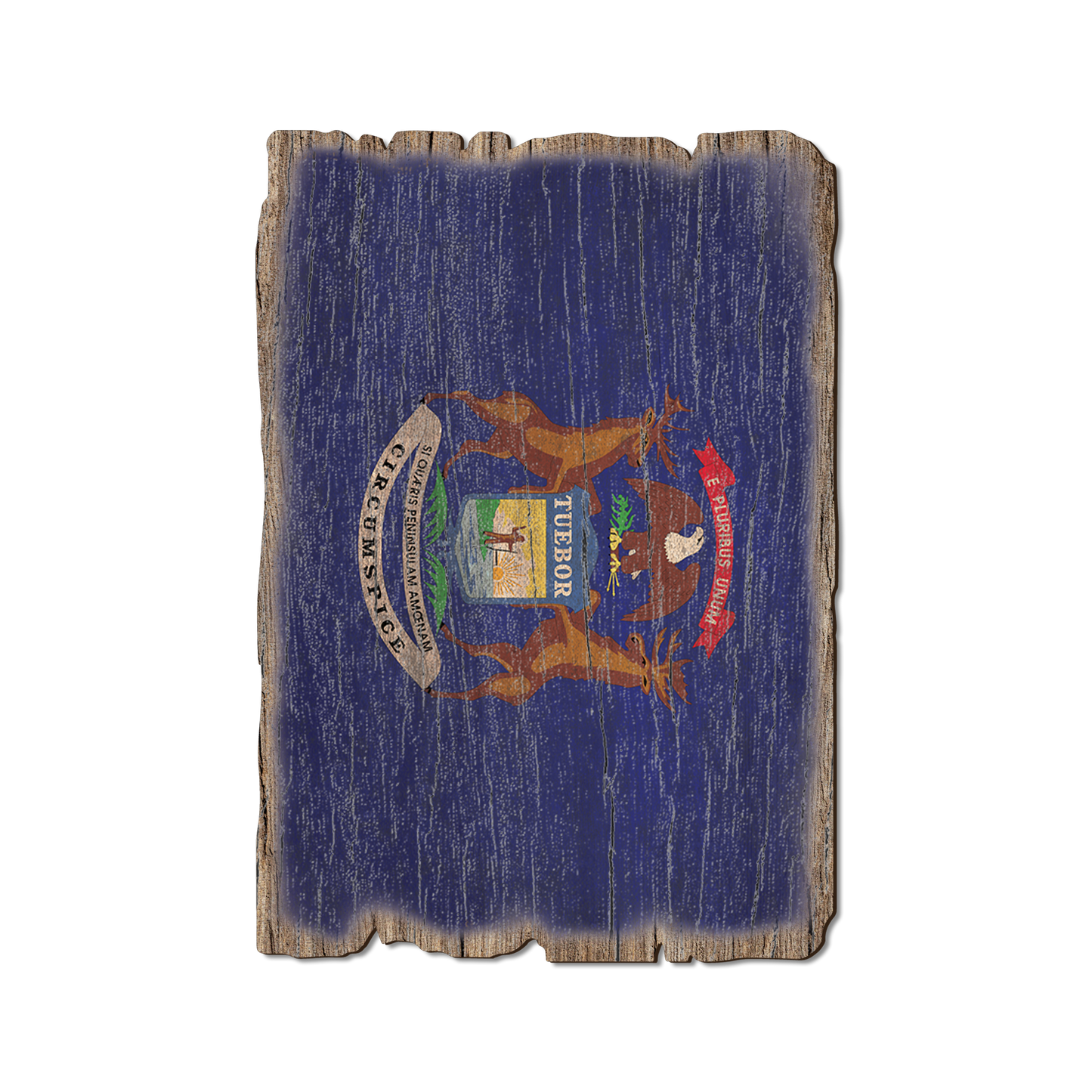Ornament: Weathered Edge - Michigan State Flag
