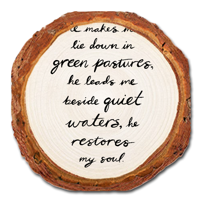 Coaster: Live Edge - Green Pastures (Pack of 5)
