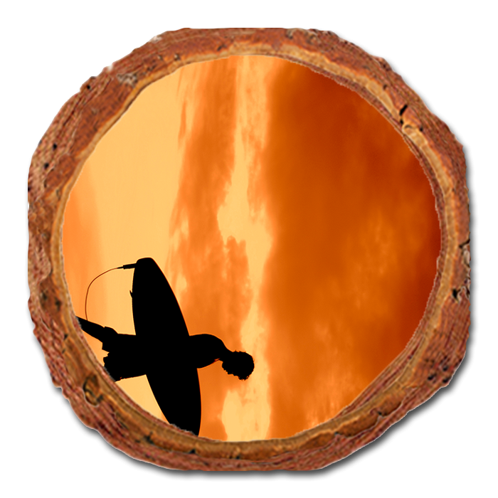 Coaster: Live Edge - Beach Boy (Pack of 5)